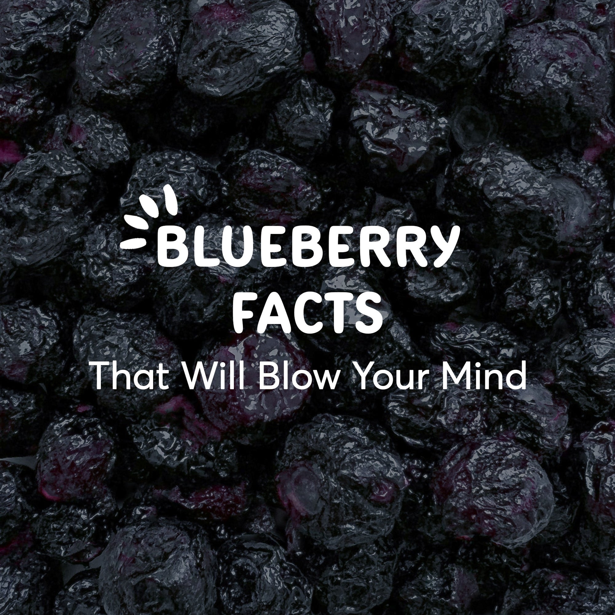 Small But Mighty: Why Blueberries Deserve a Spot in Your Daily Routine