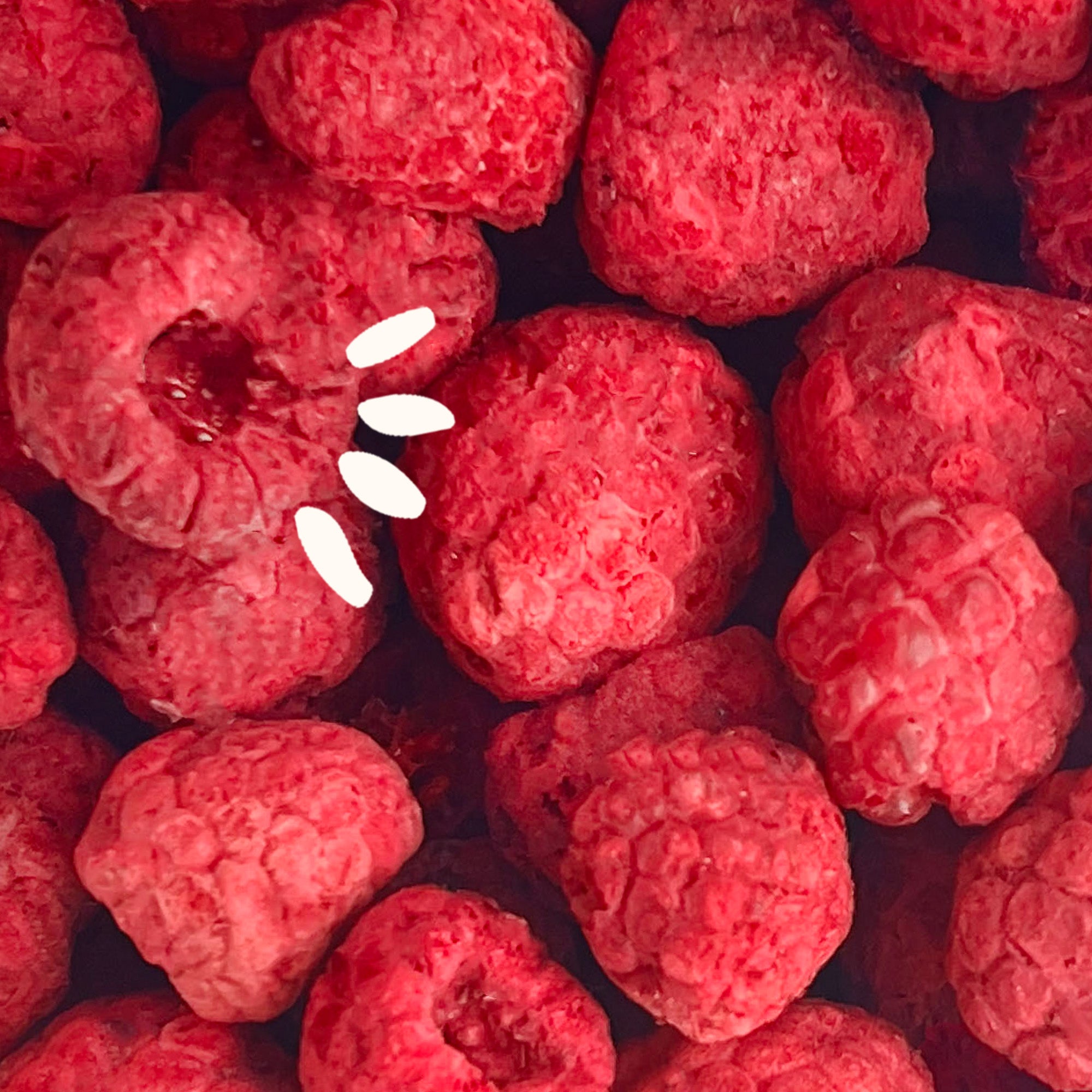 Organic Freeze-Dried Raspberries